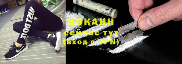 шишки Алзамай